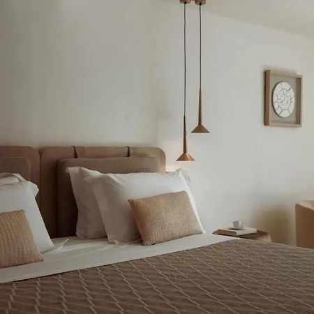 Asty Mykonos And Otel Drafaki